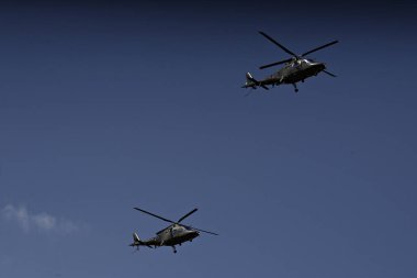 Belçika-siyaset-Kraliyet ailesi-askeri 