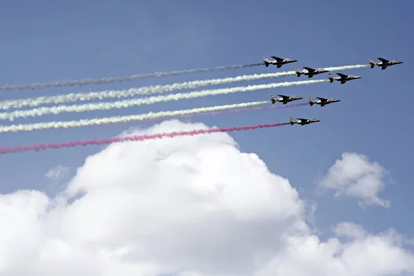 BÉLGICA - POLÍTICA - ROYALES - MILITARIOS — Foto de Stock