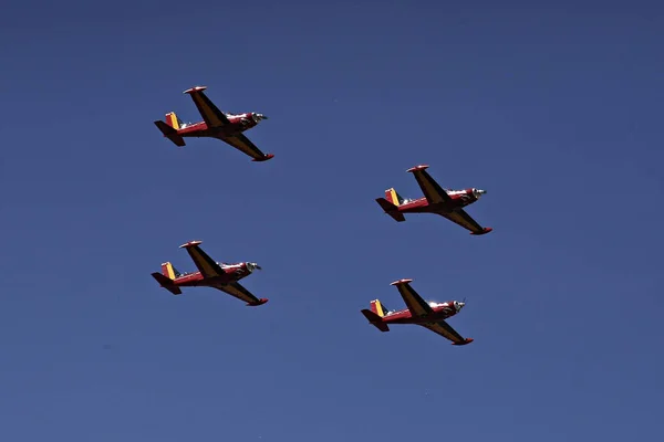 BÉLGICA - POLÍTICA - ROYALES - MILITARIOS — Foto de Stock