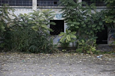 Yunanistan-hava durumu