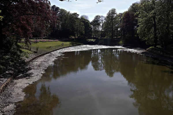 Bloeiende Tulpen Tuin Van Het Kasteel Van Grand Bigard Brussel — Stockfoto