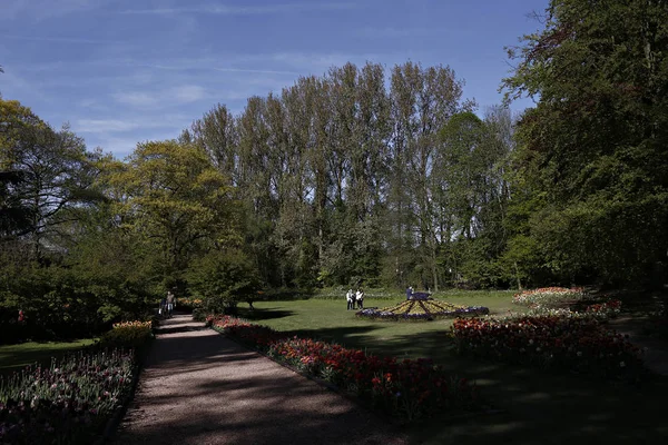 Floração Tulipas Jardim Castelo Grand Bigard Bruxelas Bélgica Maio 2016 — Fotografia de Stock