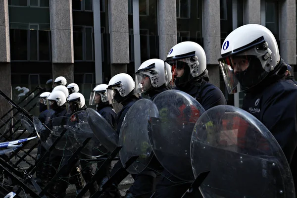 België-DRCongo-Prostest — Stockfoto