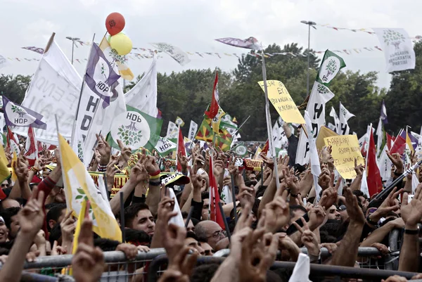 Supporters Van Pro Koerdische Volkeren Democratische Partij Hdp Wave Partij — Stockfoto