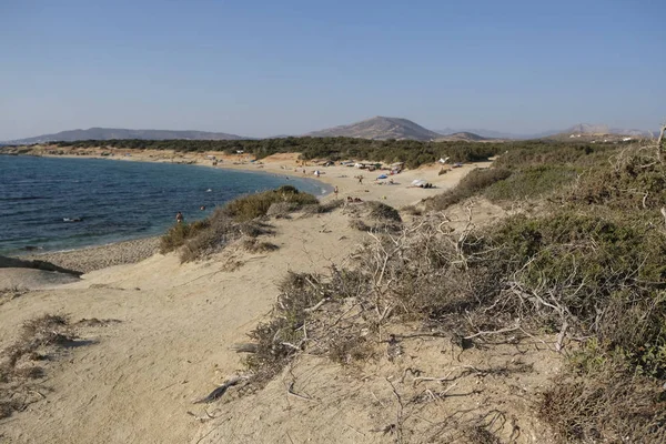 Personas Relajándose Playa Alyko Isla Naxos Grecia Agosto 2018 —  Fotos de Stock