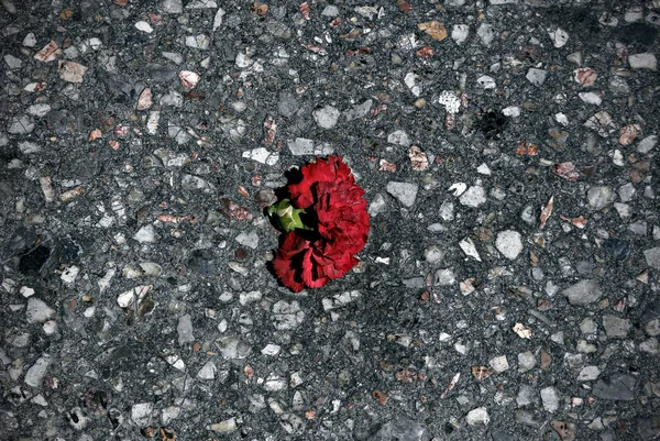 Soluň Řecko Května 2015 Občané Zástupci Různých Organizací Účastní Května — Stock fotografie