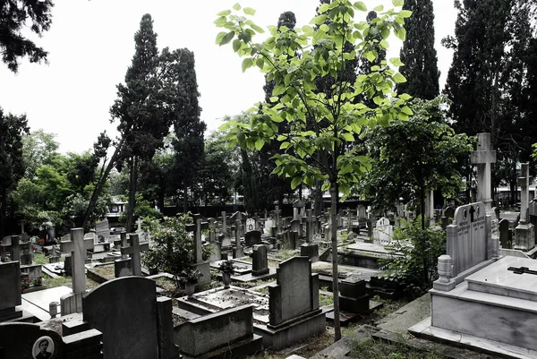 Capela Cemitério Cemitério Ortodoxo Oriental Istambul Turquia Junho 2014 Cemitério — Fotografia de Stock