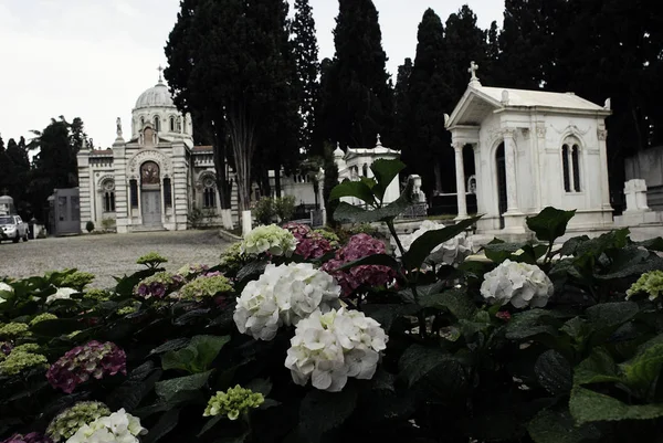 Friedhofskapelle Auf Dem Östlichen Orthodoxen Friedhof Istanbul Türkei Juni 2014 — Stockfoto