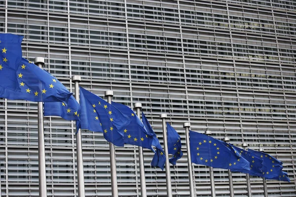Brüssel Belgien März 2019 Europäische Flaggen Flattern Wind Vor Der — Stockfoto