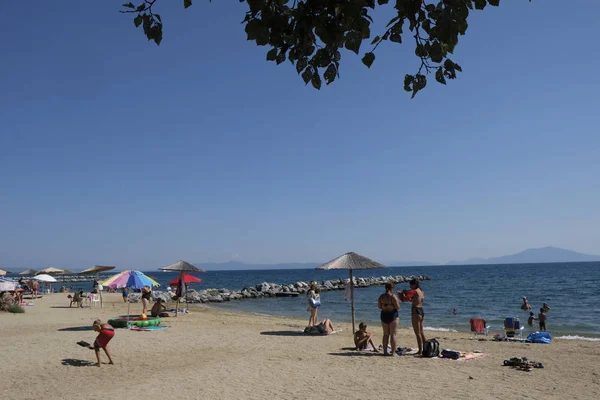 Yunanistan'ın Anavros sahilinde insanlar güneşlenmekte5 Ağustos 2018