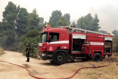 * * * * * * * * * * * * * * * * * * 