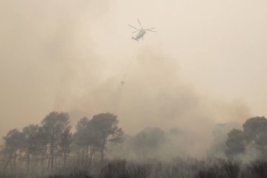 * * * * * * * * * * * * * * * * * * 