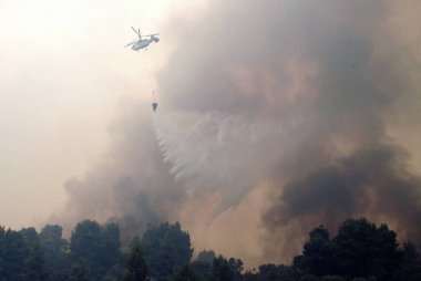 * * * * * * * * * * * * * * * * * * 