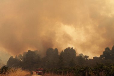 * * * * * * * * * * * * * * * * * * 