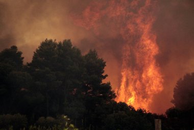 * * * * * * * * * * * * * * * * * * 