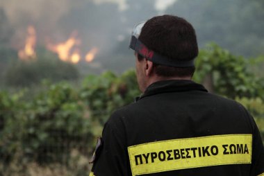 * * * * * * * * * * * * * * * * * * 