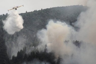 * * * * * * * * * * * * * * * * * * 