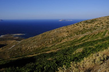 Yunanistan'ın Serifos Adası'nda gün batımında bir bağ 18 Ağustos 2019.