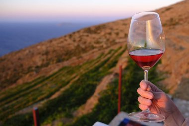 Bir kadın Yunanistan'da Serifos Adası'nda gün batımında bir bağ içinde gül şarabı ile bir bardak tutar.
