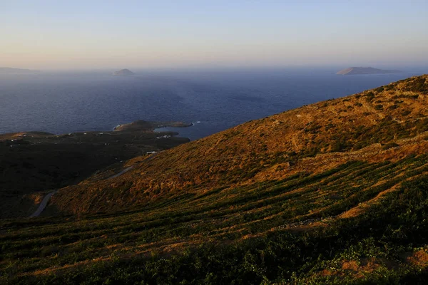 Een Wijngaard Bij Zonsondergang Serifos Eiland Griekenland Aug 2019 — Stockfoto