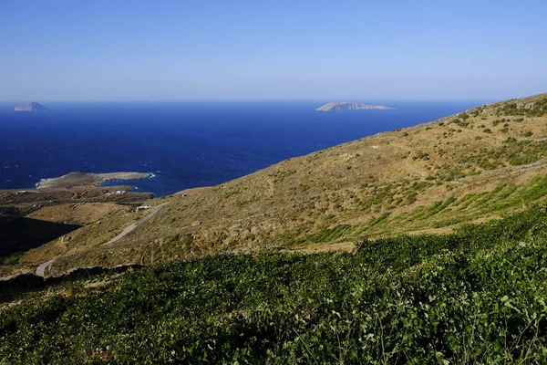 Vinice Při Západu Slunce Ostrově Serifos Řecku Dne 2019 — Stock fotografie