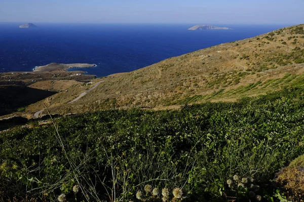 Een Wijngaard Bij Zonsondergang Het Eiland Serifos Griekenland Aug 2019 — Stockfoto