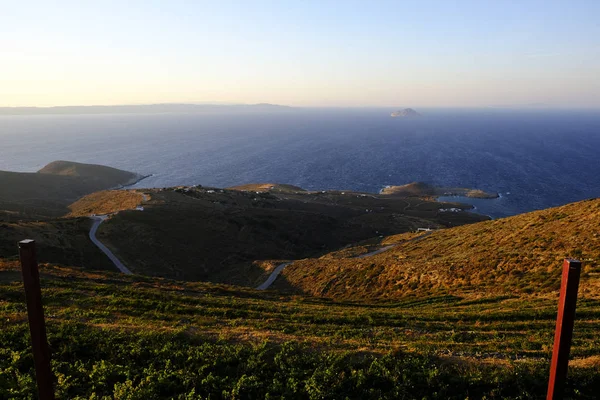 Een Wijngaard Bij Zonsondergang Het Eiland Serifos Griekenland Aug 2019 — Stockfoto
