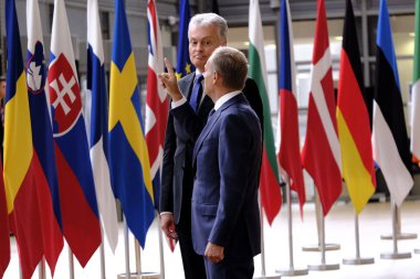 Litvanya Cumhurbaşkanı Gitanas Nauseda Brüksel,Belçika'yı ziyaret etti