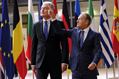 Litvanya Cumhurbaşkanı Gitanas Nauseda Brüksel,Belçika'yı ziyaret etti