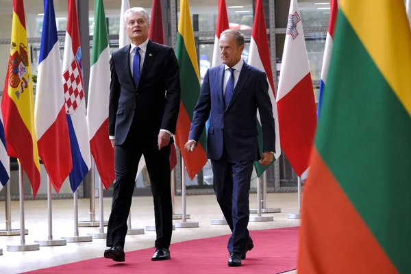 Litvanya Cumhurbaşkanı Gitanas Nauseda Brüksel,Belçika'yı ziyaret etti