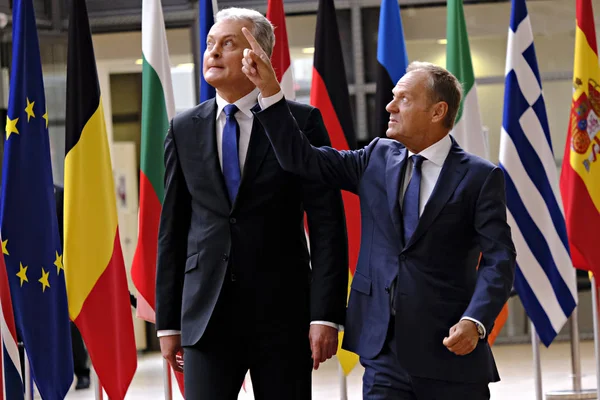 Litvanya Cumhurbaşkanı Gitanas Nauseda Brüksel,Belçika'yı ziyaret etti