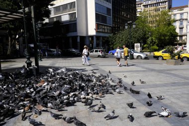 Atina sokakta Güvercinler, Yunanistan Ağustos'ta 8, 2019
