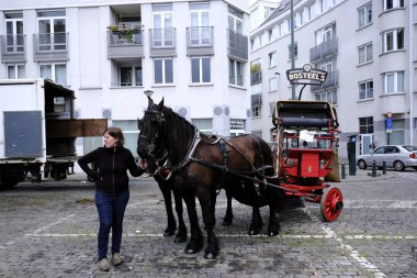 7 Eylül 2019 tarihinde Belçika'nın brüksel'in merkezinde ki sokaklarında tarihi bira arabaları ve bira vagonları ile geçit töreni