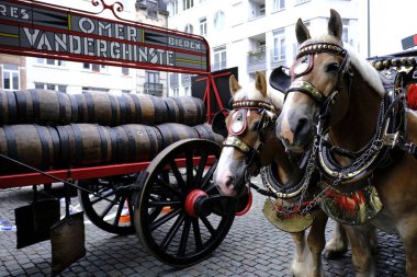 7 Eylül 2019 tarihinde Belçika'nın brüksel'in merkezinde ki sokaklarında tarihi bira arabaları ve bira vagonları ile geçit töreni