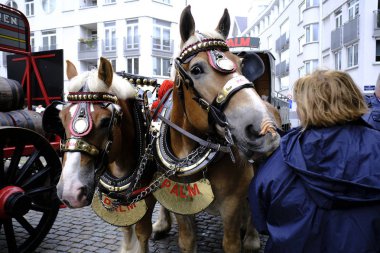 7 Eylül 2019 tarihinde Belçika'nın brüksel'in merkezinde ki sokaklarında tarihi bira arabaları ve bira vagonları ile geçit töreni
