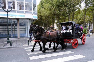 7 Eylül 2019 tarihinde Belçika'nın brüksel'in merkezinde ki sokaklarında tarihi bira arabaları ve bira vagonları ile geçit töreni