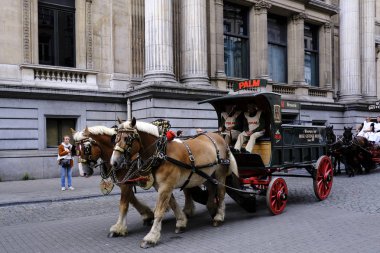 7 Eylül 2019 tarihinde Belçika'nın brüksel'in merkezinde ki sokaklarında tarihi bira arabaları ve bira vagonları ile geçit töreni