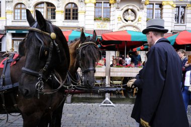 7 Eylül 2019 tarihinde Belçika'nın brüksel'in merkezinde ki sokaklarında tarihi bira arabaları ve bira vagonları ile geçit töreni