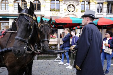 7 Eylül 2019 tarihinde Belçika'nın brüksel'in merkezinde ki sokaklarında tarihi bira arabaları ve bira vagonları ile geçit töreni