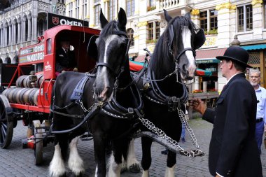 7 Eylül 2019 tarihinde Belçika'nın brüksel'in merkezinde ki sokaklarında tarihi bira arabaları ve bira vagonları ile geçit töreni