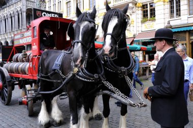 7 Eylül 2019 tarihinde Belçika'nın brüksel'in merkezinde ki sokaklarında tarihi bira arabaları ve bira vagonları ile geçit töreni
