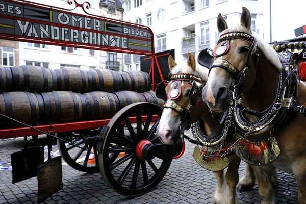 2019年9月7日 ベルギーのブリュッセル中心部の通りを通る歴史的な醸造所のカートとビールワゴンとの行列 — ストック写真