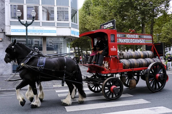 Procession Historical Brewery Carts Beer Wagons Streets Central Brussels Belgium — Stock Photo, Image