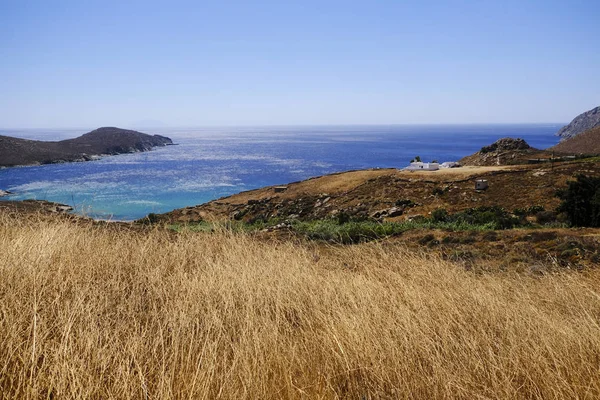 Pole Zralých Zlatých Pšenice Ostrově Serifos Řecko Dne Srpen 2019 — Stock fotografie