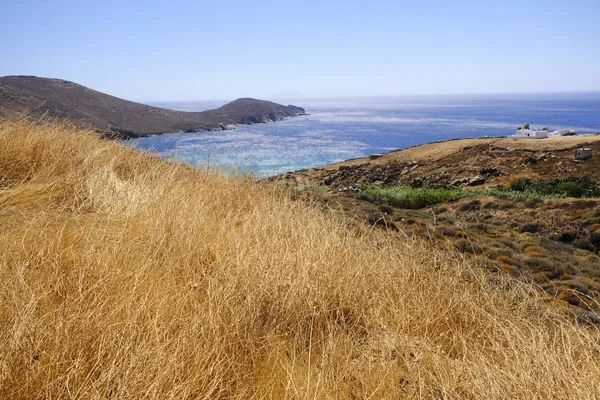 2019年8月19日 ギリシャ セリフォス島の熟した黄金の小麦畑 — ストック写真