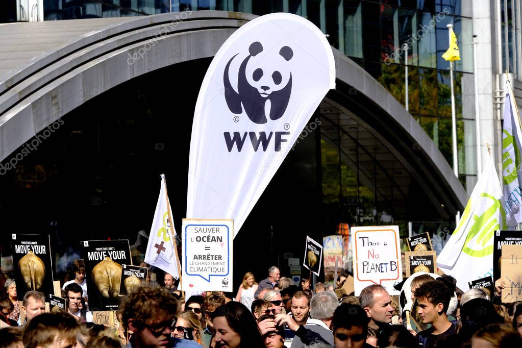 Brussels, Belgium. 20th September 2019.  Environmental activists take part in the Climate strike protest calling for action on climate change.