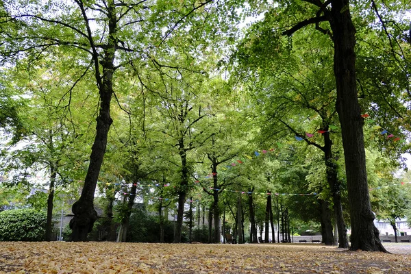 Πάρκο Βασίλισσας Άστριντ Στο Tournai Βέλγιο Σεπ 2019 — Φωτογραφία Αρχείου