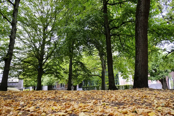 Πάρκο Βασίλισσας Άστριντ Στο Tournai Βέλγιο Σεπ 2019 — Φωτογραφία Αρχείου