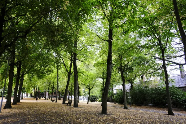 Πάρκο Βασίλισσας Άστριντ Στο Tournai Βέλγιο Σεπ 2019 — Φωτογραφία Αρχείου