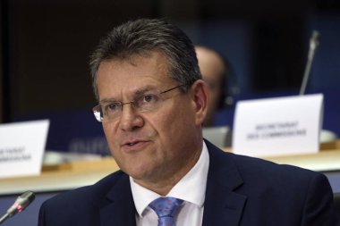 Avrupa Kurumlararası İlişkiler ve Öngörü Komiseri